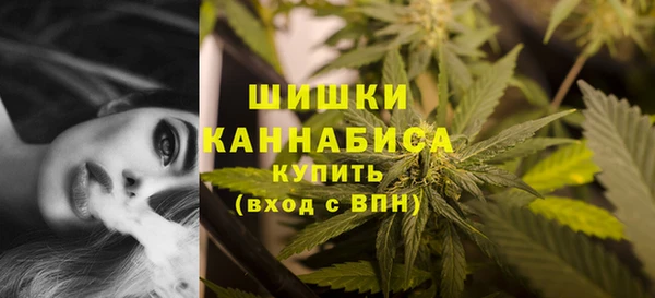 стафф Иннополис