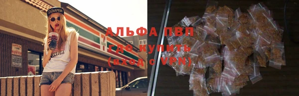 стафф Иннополис