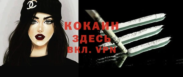 стафф Иннополис
