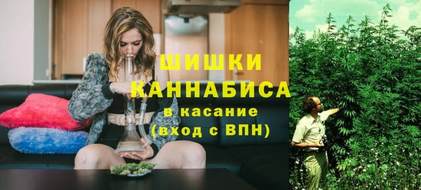 стафф Иннополис