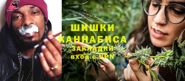 стафф Иннополис