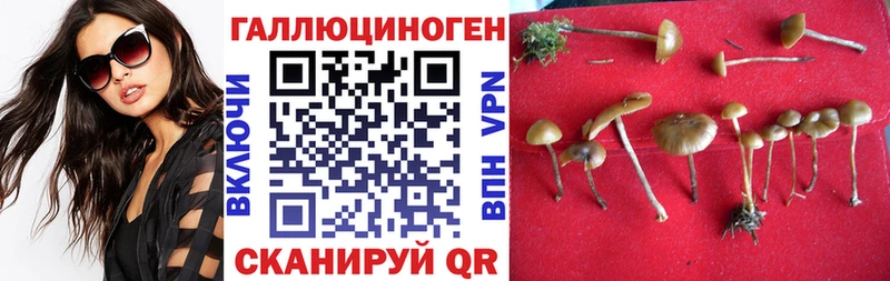Купить где  Лысково  Псилоцибиновые грибы MAGIC MUSHROOMS 